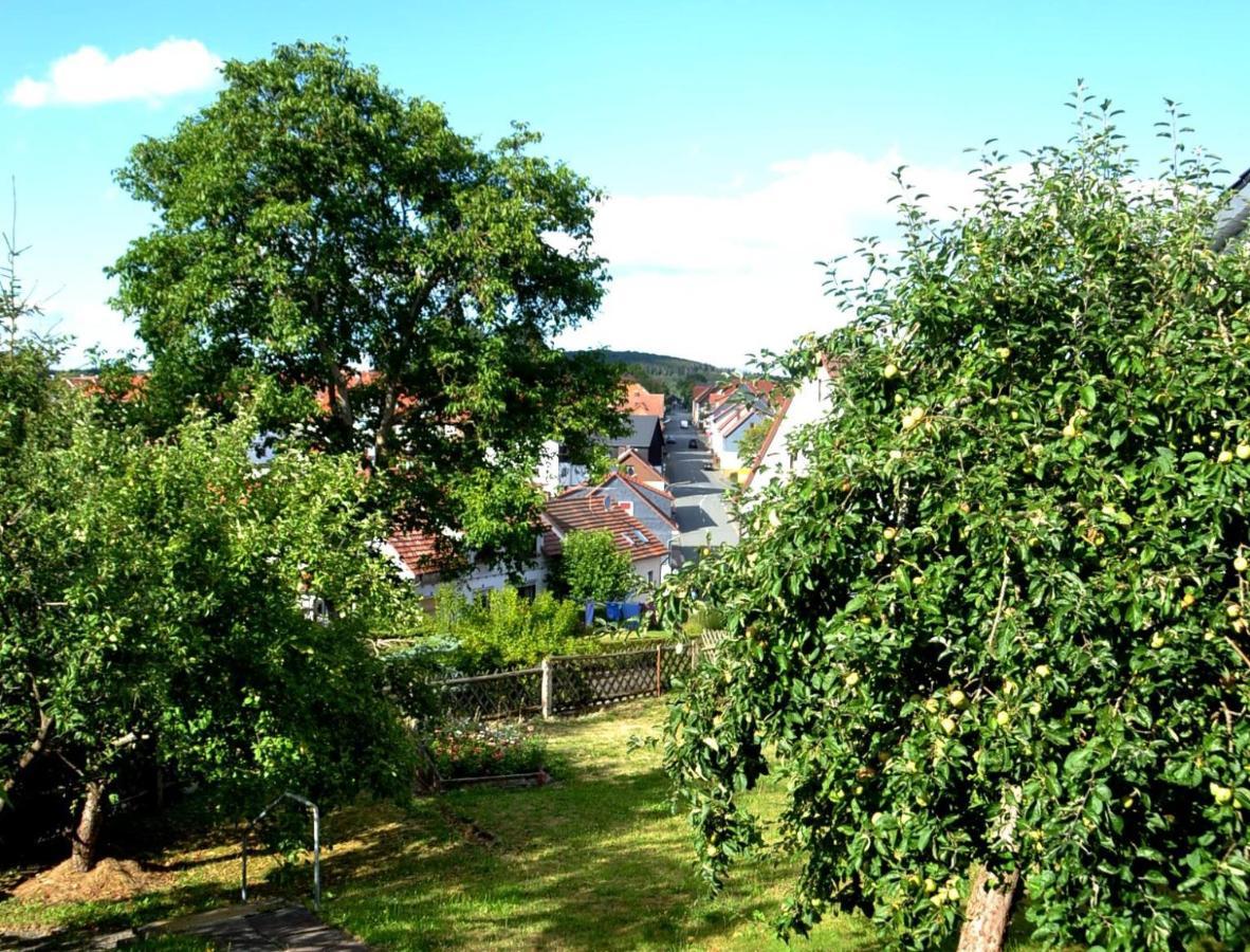 Frankenau Fewo Kellerwald Extérieur photo