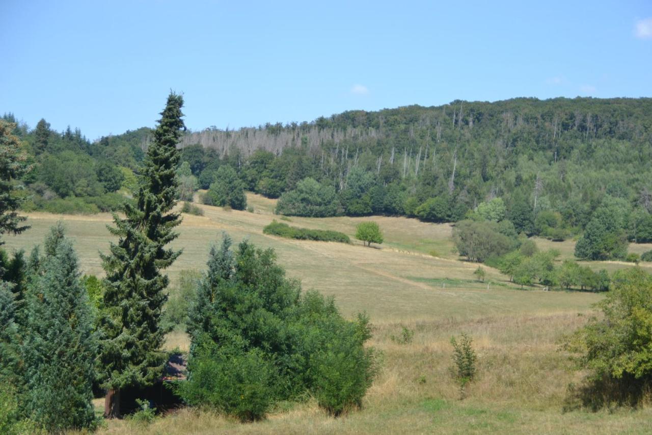Frankenau Fewo Kellerwald Extérieur photo